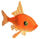 animated-fish-image-0316