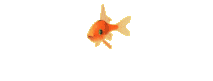 animated-fish-image-0327
