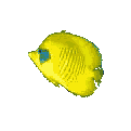 animated-fish-image-0386