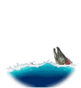animated-fish-image-0392