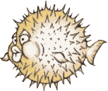 animated-fish-image-0403