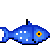 animated-fish-image-0450