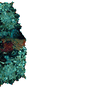 animated-fish-image-0564