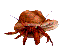 animated-crab-image-0023