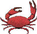 animated-crab-image-0024