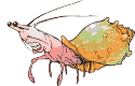 animated-crab-image-0030