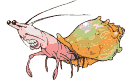 animated-crab-image-0030