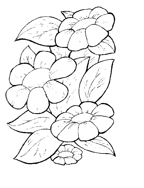 animated-coloring-pages-flower-image-0030
