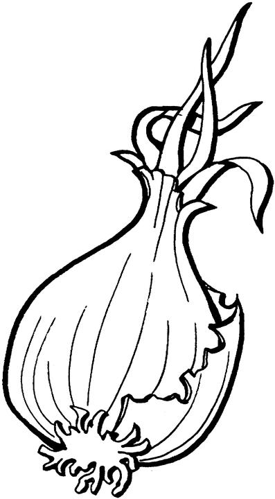 animated-coloring-pages-vegetable-image-0006
