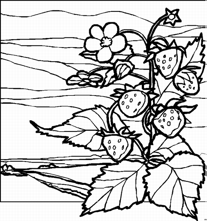 animated-coloring-pages-landscape-image-0012