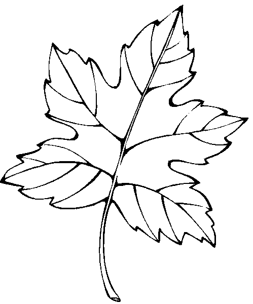 animated-coloring-pages-leaf-image-0008