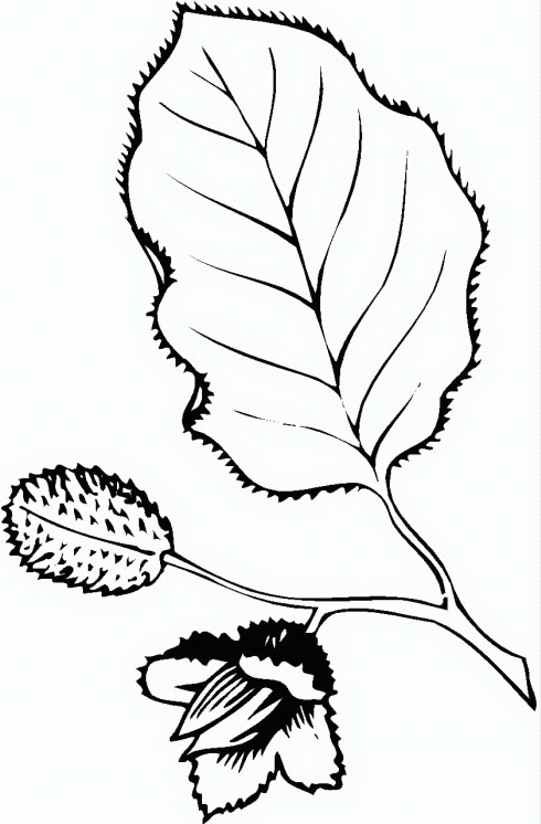 animated-coloring-pages-leaf-image-0009