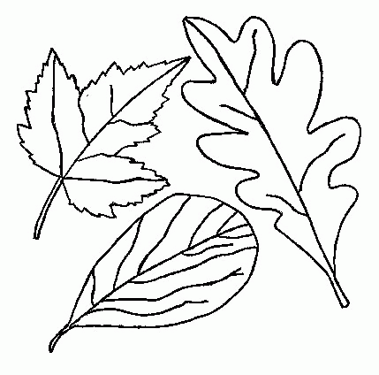 animated-coloring-pages-leaf-image-0013