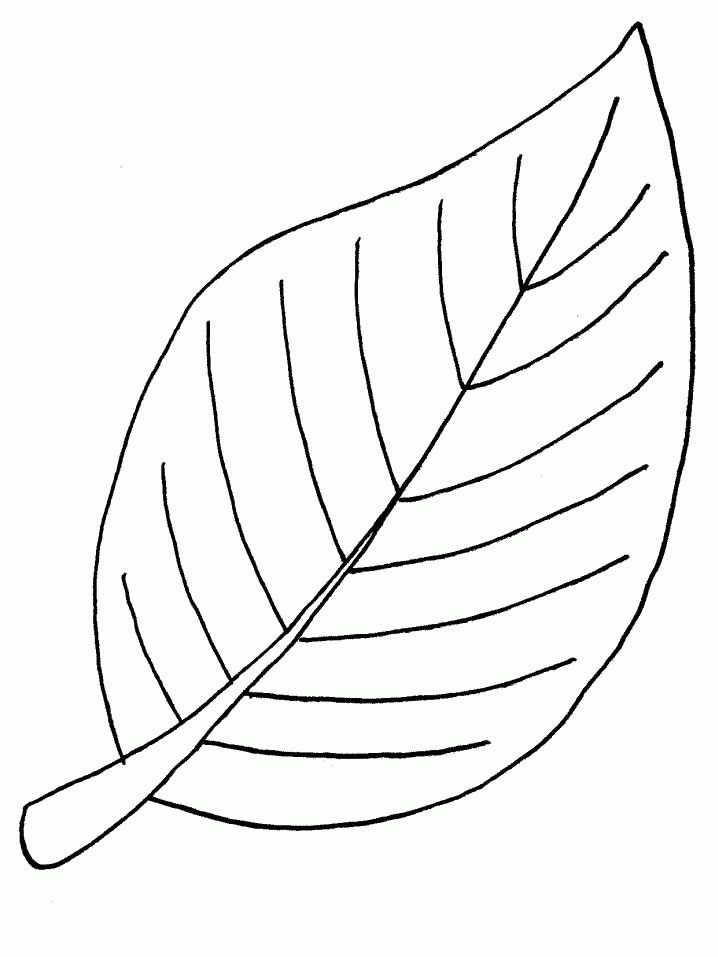 animated-coloring-pages-leaf-image-0018