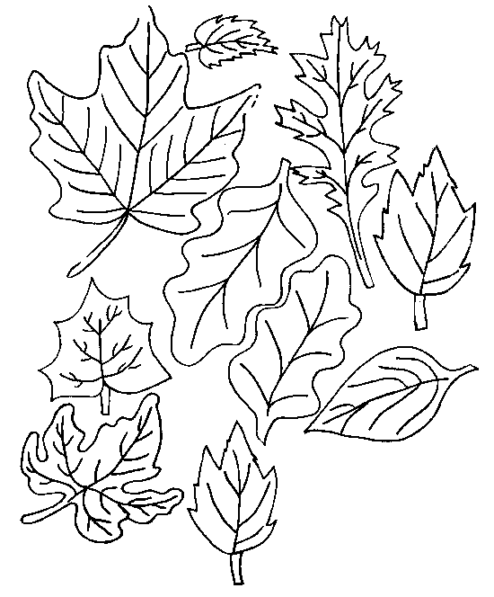 animated-coloring-pages-leaf-image-0024