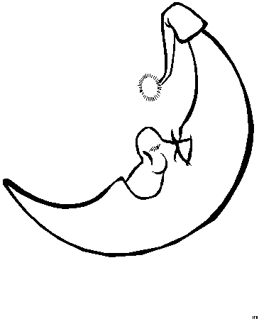 animated-coloring-pages-moon-image-0008