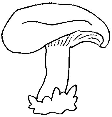 animated-coloring-pages-mushroom-image-0004