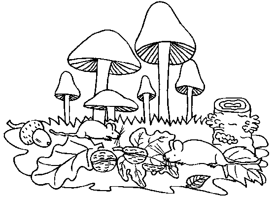 animated-coloring-pages-mushroom-image-0022