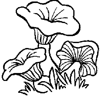 animated-coloring-pages-mushroom-image-0025