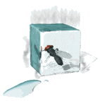 animated-fly-image-0038