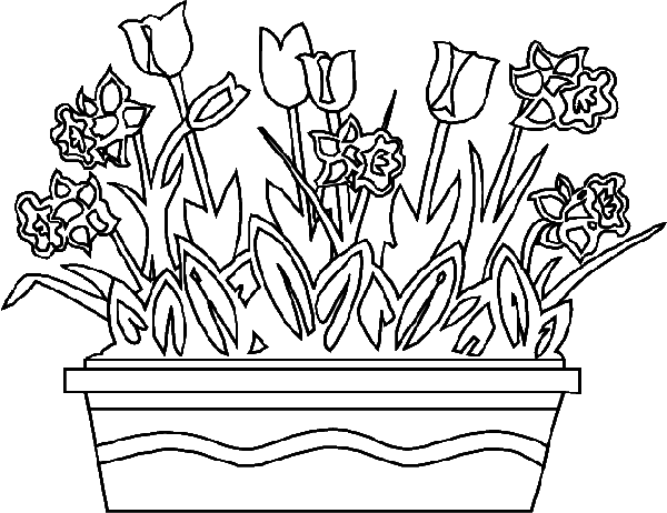 animated-coloring-pages-spring-image-0007