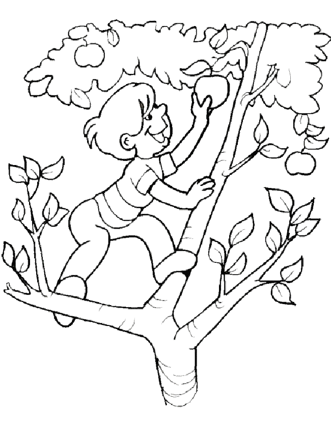 animated-coloring-pages-summer-image-0033