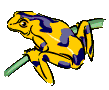 animated-frog-image-0001