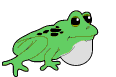 animated-frog-image-0023