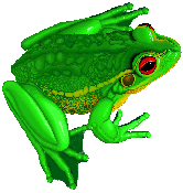 animated-frog-image-0090