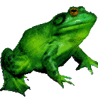 animated-frog-image-0109