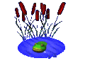 animated-frog-image-0350