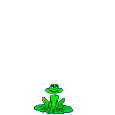 animated-frog-image-0383