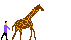 animated-giraffe-image-0040