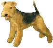 animated-dog-image-0603