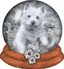 animated-dog-image-0707