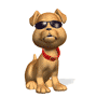 animated-dog-image-0910