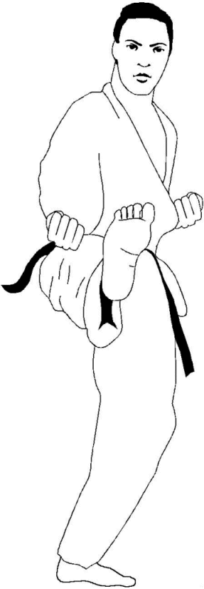 animated-coloring-pages-judo-image-0002