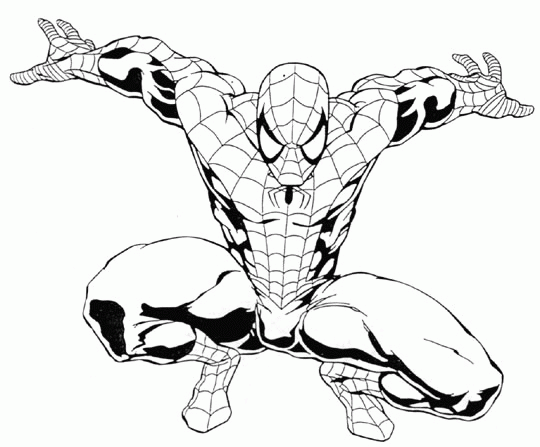 animated-coloring-pages-spider-man-image-0008