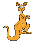 Kangaroos