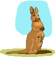 animated-kangaroo-image-0009