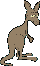 animated-kangaroo-image-0015