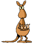 animated-kangaroo-image-0033