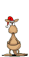 animated-kangaroo-image-0059