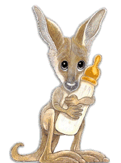 animated-kangaroo-image-0062