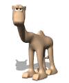 animated-camel-image-0042