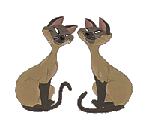 animated-cat-image-0297