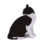 animated-cat-image-0369