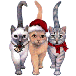 animated-cat-image-0459