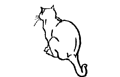animated-cat-image-0495