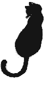 animated-cat-image-0514